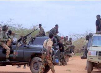 Somali National Army and Ugandan Forces Seize Control of Sabiid and Caanoole from Al-Shabaab