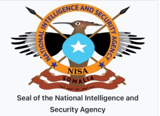 NISA: Al-Shabaab Militants Killed in Airstrike in Hiiraan Region