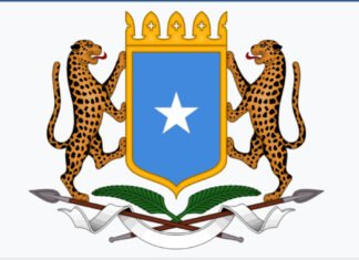 Ministry of Transport and Civil Aviation Sets ID Requirement for Public Services