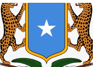 Somaliaa Federal Government Weekly Report – Key Activities