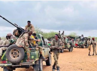 Somali Forces Intensify Operations Against Al-Shabaab in Hiiraan and Middle Shabelle