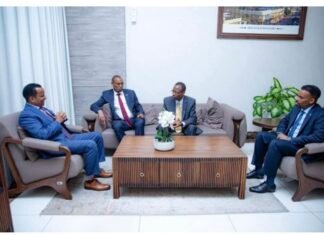 Somalia’s Foreign Minister Strengthens Ties with Tanzanian Leadership