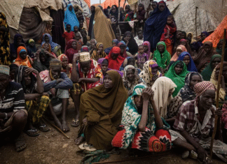 Hope Returns to Sabiid and Caanoole as Somali Forces Secure Key Towns
