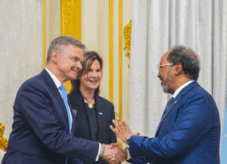 Somali President Hassan Sheikh Meets with EU Delegation