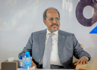 Somali President Congratulates the Government and People of Djibouti on 47th Independence Day