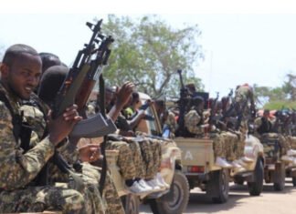 Somali Forces and Militias Launch Major Offensive Against Al-Shabaab in Central Region