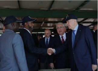 Turkish President Erdogan Meets Somali Minister as Energy Cooperation Strengthens