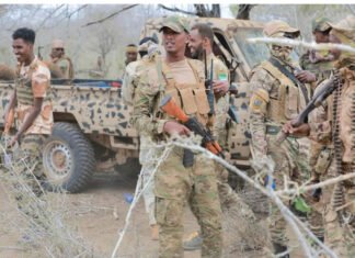 Senior Al-Shabaab Commanders Killed in Lower Jubba Operation