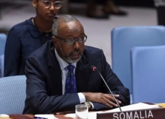 Somalia Tells UN: Yemen Crisis a Growing Threat to Regional Security