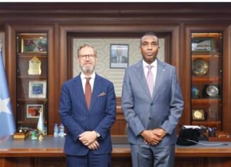 Somali Prime Minister Bids Farewell to Outgoing Swedish Ambassador