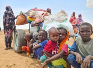 UN pushes for El Fasher truce as Sudan crisis deepens