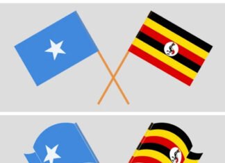 What Is the Military Cooperation Between Uganda and Somalia?