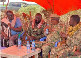 Al-Shabaab Commanders Killed in Targeted Operation in Somalia