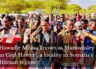 Forces on High Alert as Ma’aawisley Mobilize for Major Offensive in Mahas District