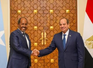 President Sisi Invites Hassan as Somalia Faces Pressure from Egypt and Ethiopi