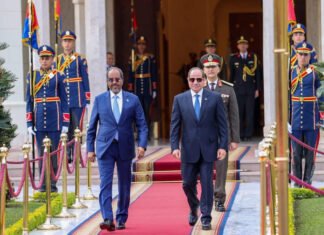 President Hassan Sheikh Warmly Welcomed in Egypt