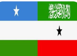 Puntland and Somaliland United Against SSC-Khaatumo Developments in Sool and Sanaag