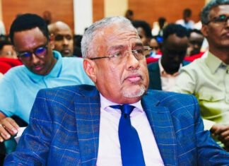 Somali Cabinet Approves New National Higher Education Committee