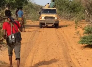 Hiiraan Local Forces Kill Six Al-Shabaab Militants in Planned Operation