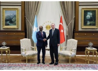 President Erdogan meets His Somali Counterpart to Deepen Bilateral Ties