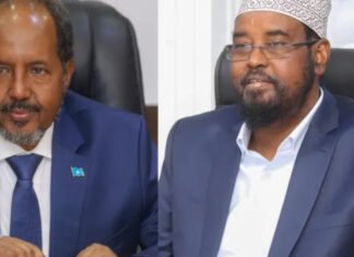 Somali Government Accused of Deploying Troops and Weapons to Gedo Region