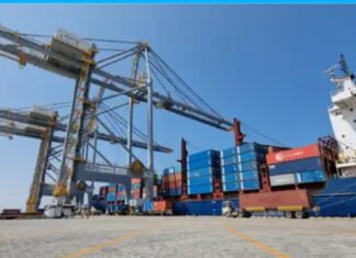 Somali Government Eyes Ethiopian Activity at Berbera Port