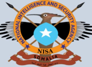 NISA: Al-Shabaab Militants Killed and Vehicles Destroyed in Hiiraan Operation