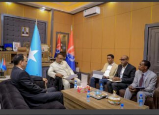 Mayor of Mogadishu Meets Arab League Envoy to Strengthen Ties and Boost Development