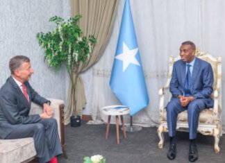 The Somali Prime Minister met with the Swiss Ambassador to Somalia in Mogadishu.