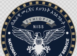 Ethiopia Arrests 82 ISIS Suspects Linked to Somali Terror Network