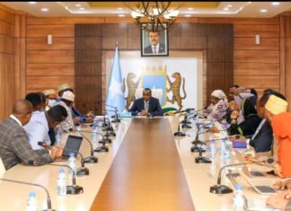 Somalia and Turkey Approve Labor Cooperation Agreement to Tackle Youth Unemployment