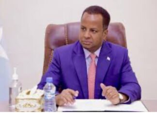 Somalia Backs Syrian Government and People in Face of Ongoing War