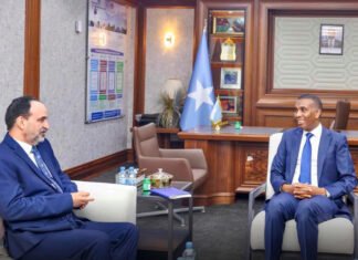 Somali Prime Minister Hamse Meets Arab League Envoy and Discusses Ways to Bolster Regional Cooperation