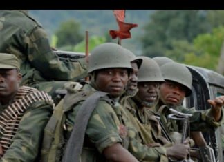 Somalia calls for the implementation of a ceasefire in the DRC