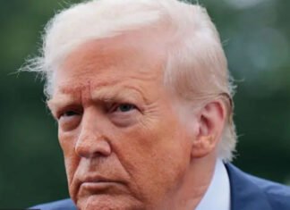 Ethiopian official denies Donald Trump’s claim that US funded River Nile dam