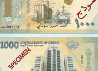 Sudan Currency Collapse Triggers Soaring Prices, Hunger Crisis Deepens Amid War