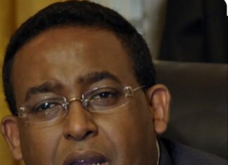Former Somali Prime Minister Urges Puntland to Release Turkish Military Vessel