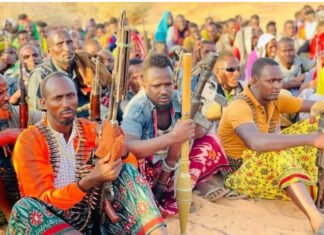 Al-Shabaab Captures Mahas District as Somalia’s Federal Offensive Stalls Amid Political Infighting