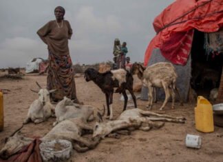 Somalia Faces Worsening Humanitarian Crisis Amid Drought and Conflict
