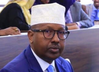 Somalia’s Defense Minister Hails Northeast State Formation as Blow to Secessionist Ambitions