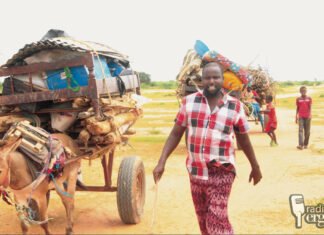 Donkey Cart Drivers Seek New Opportunities Due to Tuk-Tuks in Baidoa