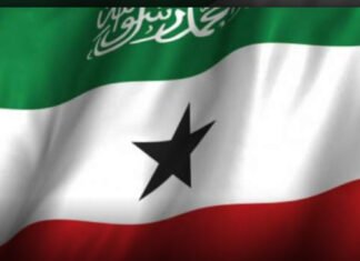 Somaliland Takes Risky Steps in Pursuit of Recognition