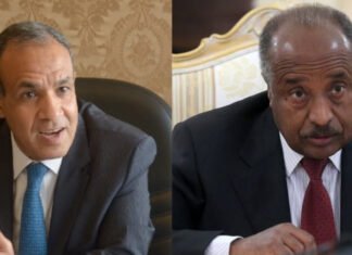 Foreign Ministers of Eritrea and Egypt Discuss Regional Security