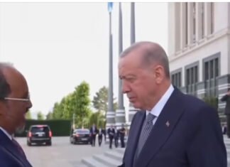 Ethiopia – Somalia Tensions Intensify as Turkey-Led Port Deal Talks Stall