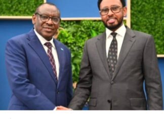 Minister of Finance of Somalia Holds Meeting with UN Economic Commission for Africa Secretary