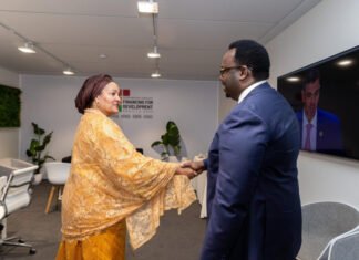 Deputy Prime Minister Meets UN Deputy Secretary-General in Seville