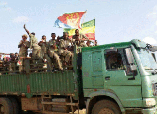 Ethiopian Militias Accused of Renewed Incursions in Sudan Border