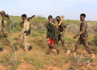Somali: Major Victory for Ma’awisley and Military Forces as Al-Shabaab Leaders killed