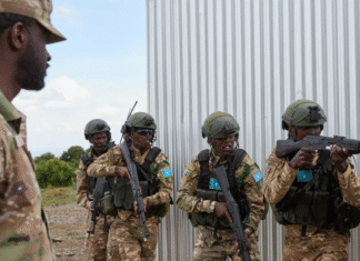Senior Al-Shabaab Commanders Eliminated in Major Danab Operations in Southern Somalia