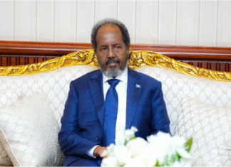 Clan Politics Under Fire as Somalia Pledges Direct Elections